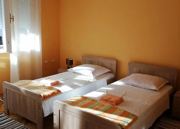 Singa * Zadar