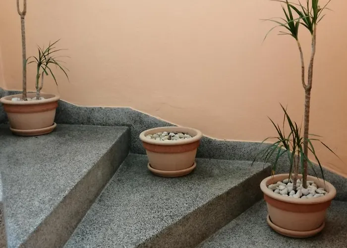 Apartamento Singa