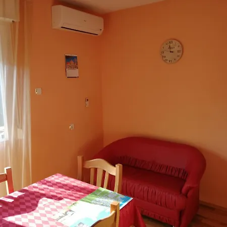 Singa * Zadar